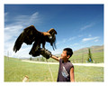 Boy with eagle