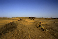 De woestijn