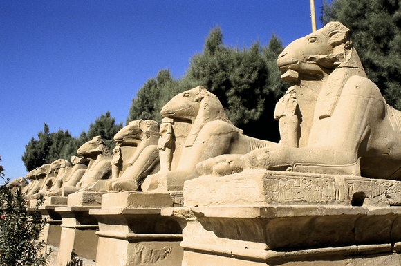 Karnak tempel Luxor
