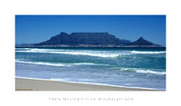 South Africa 2008