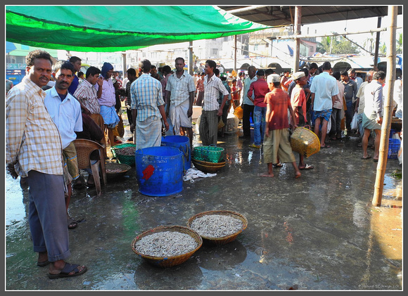 Fish market Chittagong